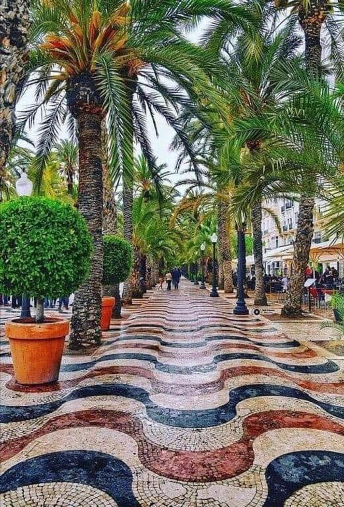 -Saint Thomas- Alicante Old Town ภายนอก รูปภาพ